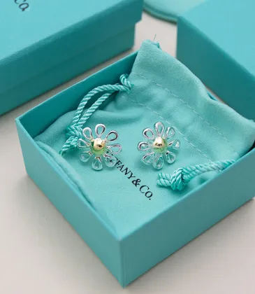 Tiffany Designer Style earrings  and  original box #A65180