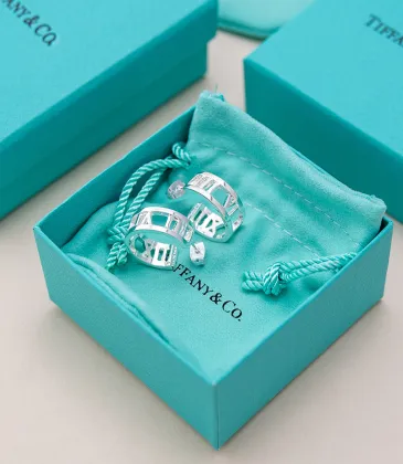 Tiffany Designer Style earrings  and  original box #A65183