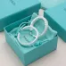 Tiffany Designer Style earrings  and  original box #A65184