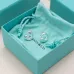 Tiffany Designer Style earrings  and  original box #A65185