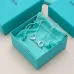 Tiffany Designer Style earrings  and  original box #A65188