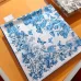 Dior Scarf #A34088