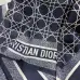 Dior Scarf #A41915