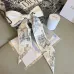 Dior Scarf Small scarf decorate the bag scarf strap #A48609