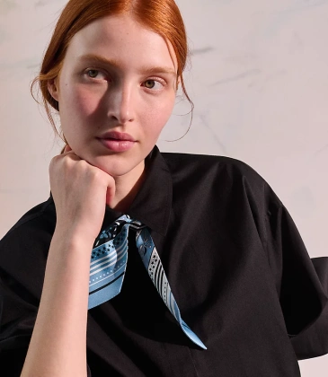 HERMES Scarf #A64730