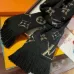 Louis Vuitton Scarf #99874644