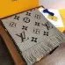 Louis Vuitton Scarf #999902473