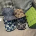 Gucci AAA+ hats &amp; caps #A48089