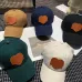 Louis Vuitton AAA+ hats &amp; caps #A36279