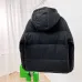 Louis Vuitton Coats/Down Jackets #A55724