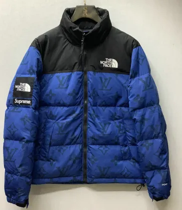 Louis Vuitton Down Jackets #999930235