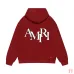 AMIRI Hoodies for Men #A42178