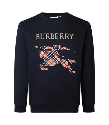 Burberry Hoodies for Men #A56493