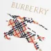 Burberry Hoodies for Men #A56494