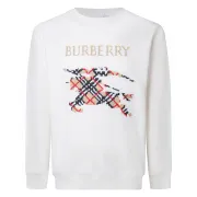 Burberry Hoodies for Men #A56494