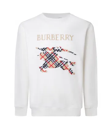Burberry Hoodies for Men #A56494