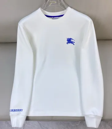 Burberry Hoodies for Men #A57203