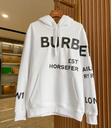 Burberry Hoodies for Men #A57483 Burberry Hoodies for Men #A57483