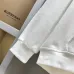 Burberry Hoodies for Men #A57487