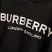 Burberry Hoodies for Men #A57488
