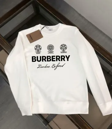 Burberry Hoodies for Men #A57673 Burberry Hoodies for Men #A57673