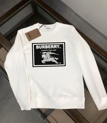 Burberry Hoodies for Men #A57675 Burberry Hoodies for Men #A57675