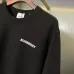 Burberry Hoodies for Men #A58522