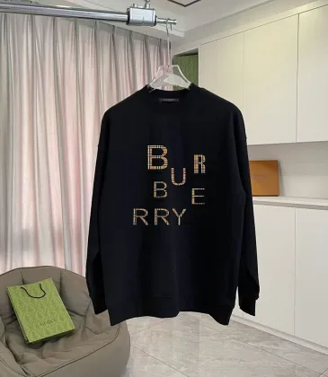 Burberry Hoodies for Men #A59464
