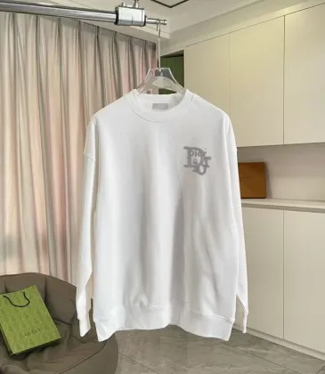 Dior hoodies for Dior hoodie for men #A54540