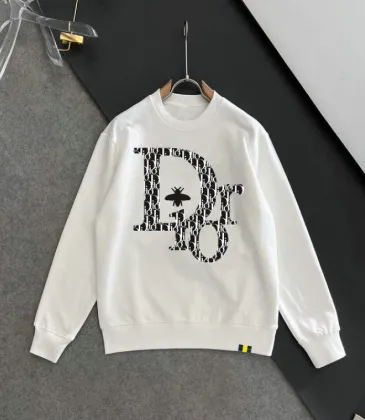 Dior hoodies for Dior hoodie for men #A56404