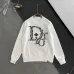 Dior hoodies for Dior hoodie for men #A56404