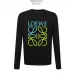 Loewe Hoodies #999918939