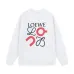 Loewe Hoodies #A42551