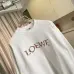 Loewe Hoodies #A55235