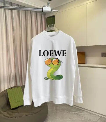 Loewe Hoodies #A55755