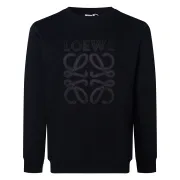 Loewe Hoodies #A56497