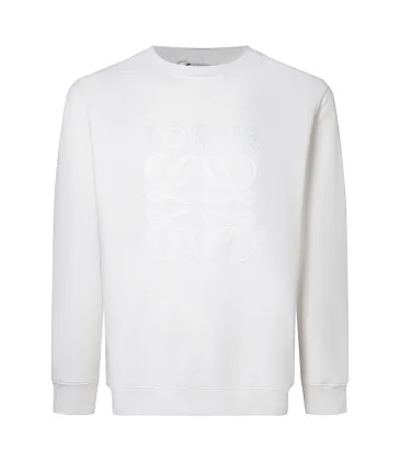Loewe Hoodies #A56498