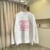 Loewe Hoodies #A57670