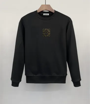 Loewe Hoodies #A57936