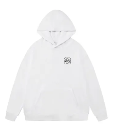 Loewe Hoodies Black/White/Purple/Blue #A54463