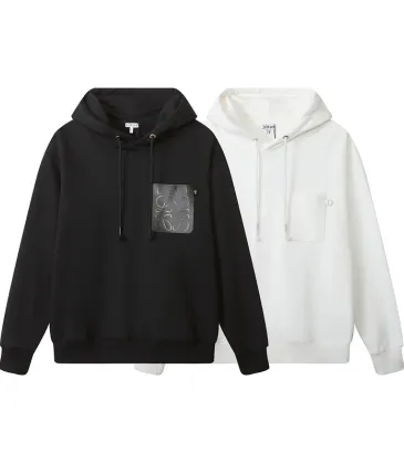 Loewe Hoodies for Men and women #A42366