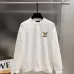 Louis Vuitton Hoodies for MEN #A55259