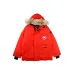 Canada goose jacket 19fw expedition wolf hairs 80% white duck down 1:1 quality Canada goose down coat for Men and Women #99899259