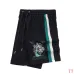 Louis Vuitton Pants for Louis Vuitton Short Pants for men #A35832