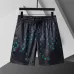 Louis Vuitton Pants for Louis Vuitton Short Pants for men #A45036