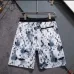 Louis Vuitton Pants for Louis Vuitton Short Pants for men swim trunks #A63482