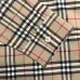 Burberry Shirts for Burberry Men's AAA+ Burberry Long-Sleeved Shirts #99902071