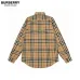 Burberry Shirts for Burberry Men's AAA+ Burberry Long-Sleeved Shirts #A49807