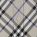 Burberry Shirts for Burberry Men's AAA+ Burberry Long-Sleeved Shirts #A49808
