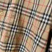Burberry Shirts for Burberry Men's AAA+ Burberry Long-Sleeved Shirts #A58529